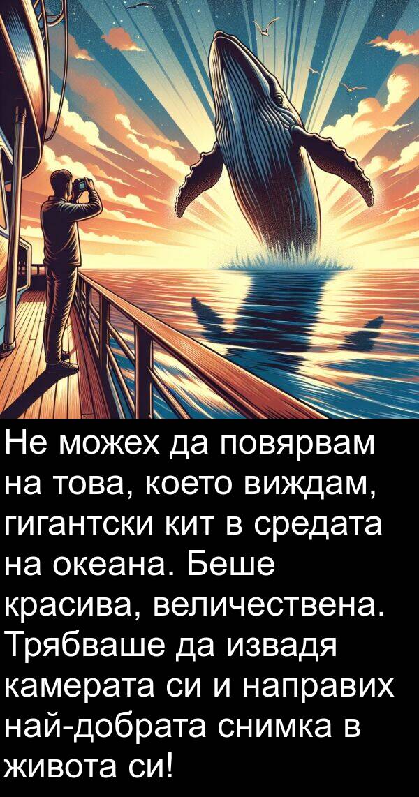 извадя: Не можех да повярвам на това, което виждам, гигантски кит в средата на океана. Беше красива, величествена. Трябваше да извадя камерата си и направих най-добрата снимка в живота си!