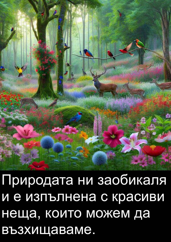 заобикаля: Природата ни заобикаля и е изпълнена с красиви неща, които можем да възхищаваме.