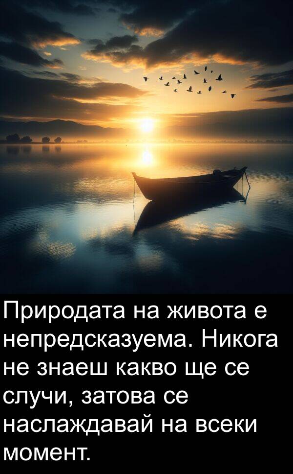 затова: Природата на живота е непредсказуема. Никога не знаеш какво ще се случи, затова се наслаждавай на всеки момент.