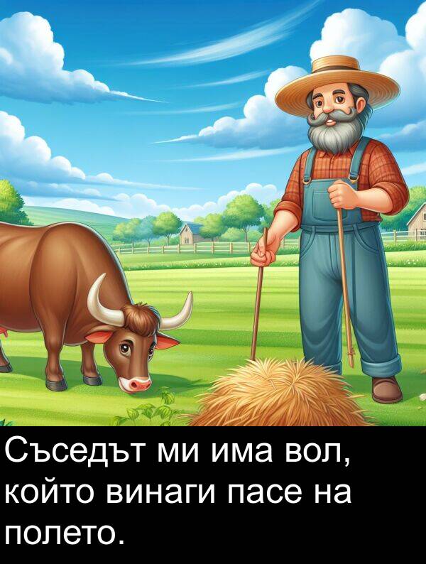 винаги: Съседът ми има вол, който винаги пасе на полето.