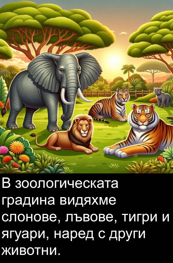 зоологическата: В зоологическата градина видяхме слонове, лъвове, тигри и ягуари, наред с други животни.