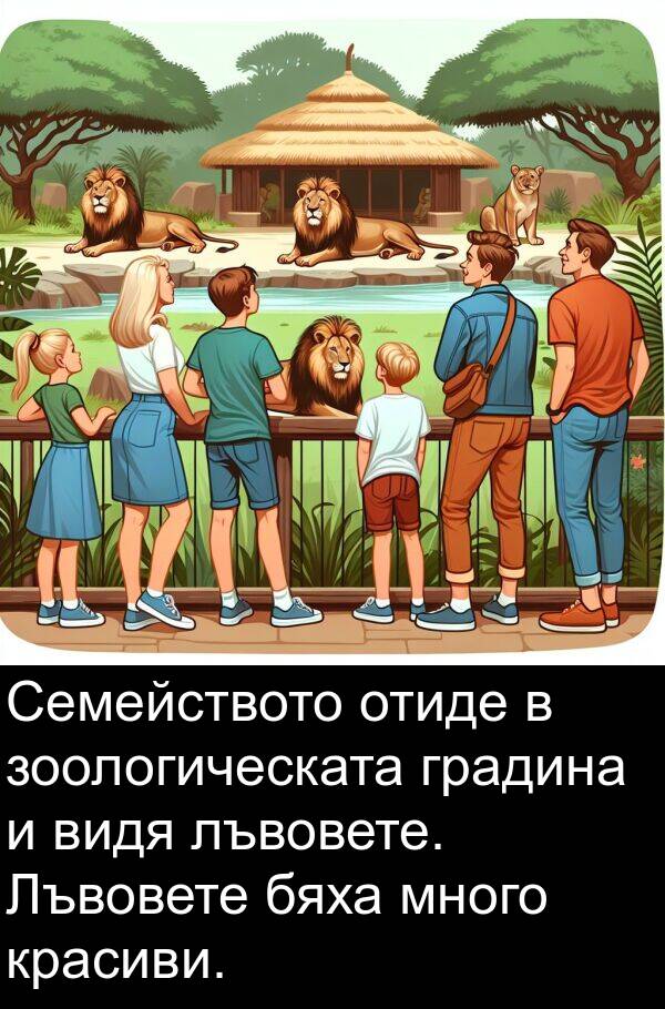зоологическата: Семейството отиде в зоологическата градина и видя лъвовете. Лъвовете бяха много красиви.