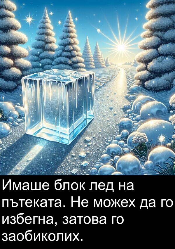 затова: Имаше блок лед на пътеката. Не можех да го избегна, затова го заобиколих.