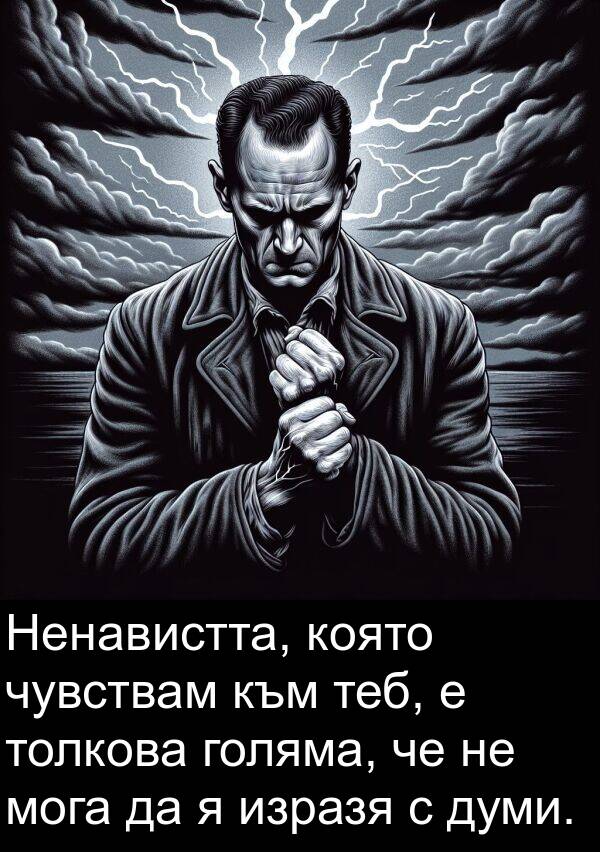 голяма: Ненавистта, която чувствам към теб, е толкова голяма, че не мога да я изразя с думи.