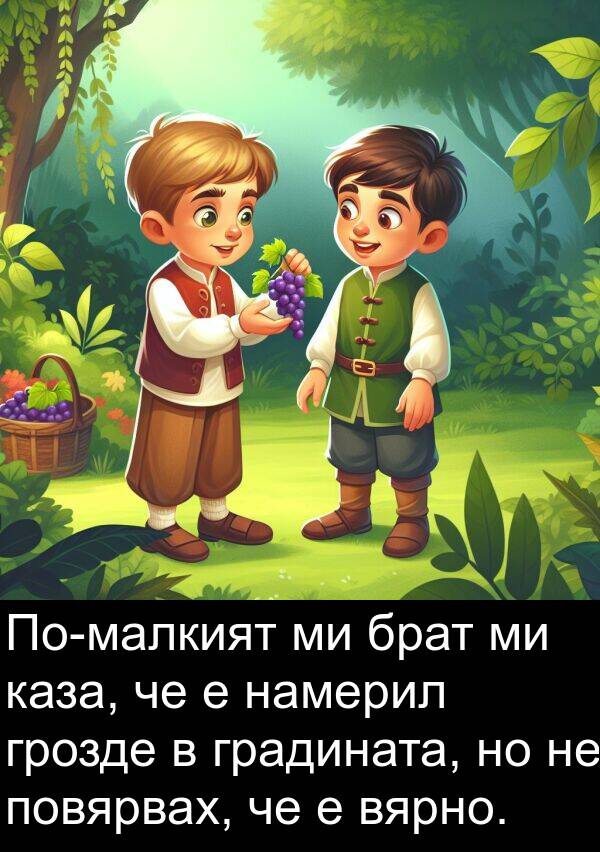 каза: По-малкият ми брат ми каза, че е намерил грозде в градината, но не повярвах, че е вярно.