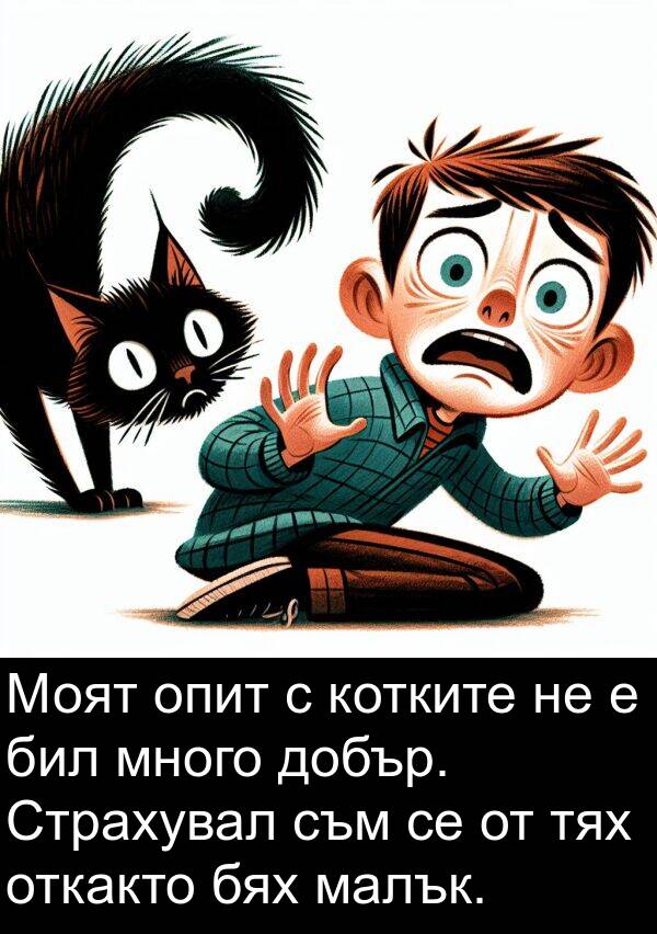 малък: Моят опит с котките не е бил много добър. Страхувал съм се от тях откакто бях малък.