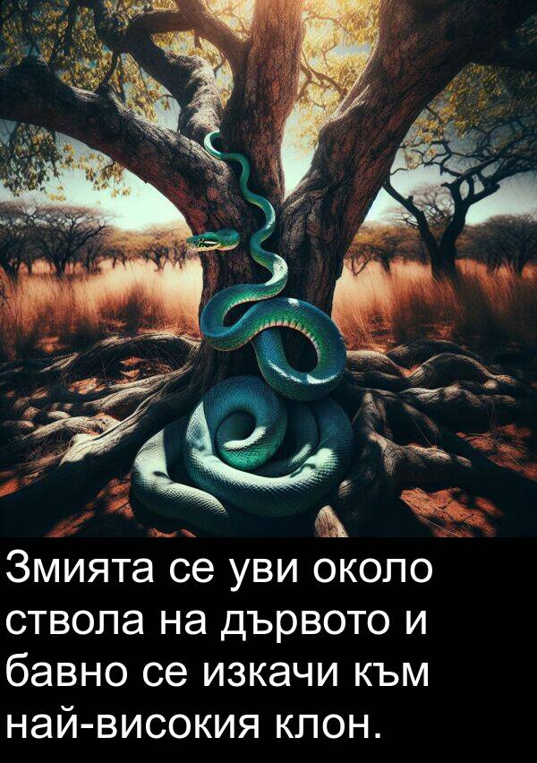 изкачи: Змията се уви около ствола на дървото и бавно се изкачи към най-високия клон.