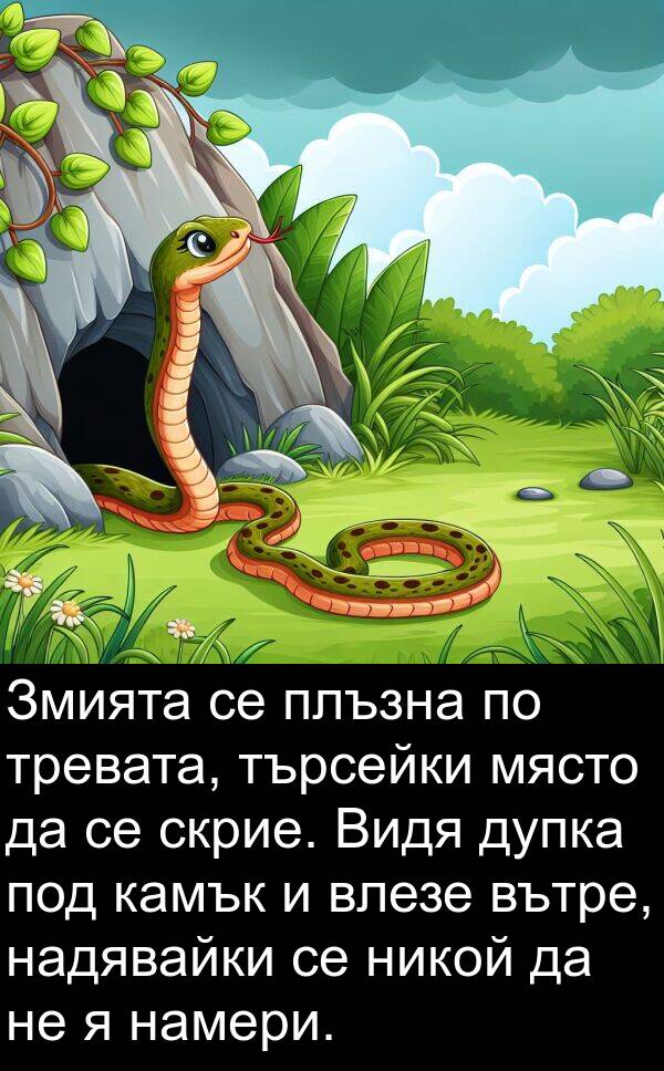 камък: Змията се плъзна по тревата, търсейки място да се скрие. Видя дупка под камък и влезе вътре, надявайки се никой да не я намери.