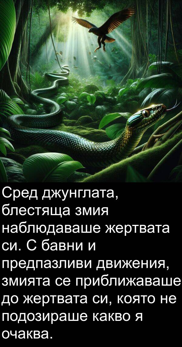 змията: Сред джунглата, блестяща змия наблюдаваше жертвата си. С бавни и предпазливи движения, змията се приближаваше до жертвата си, която не подозираше какво я очаква.