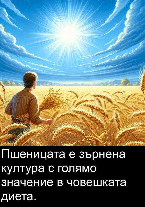 значение: Пшеницата е зърнена култура с голямо значение в човешката диета.