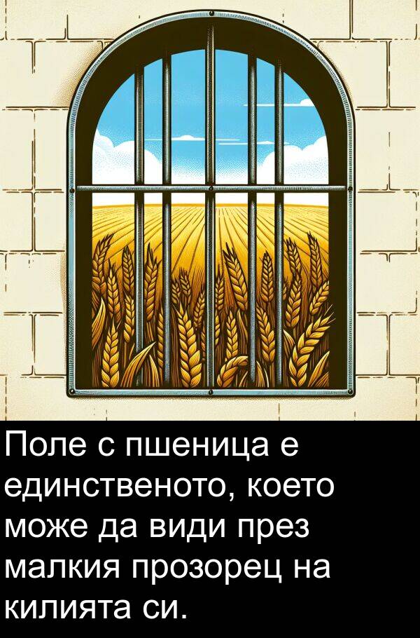 малкия: Поле с пшеница е единственото, което може да види през малкия прозорец на килията си.