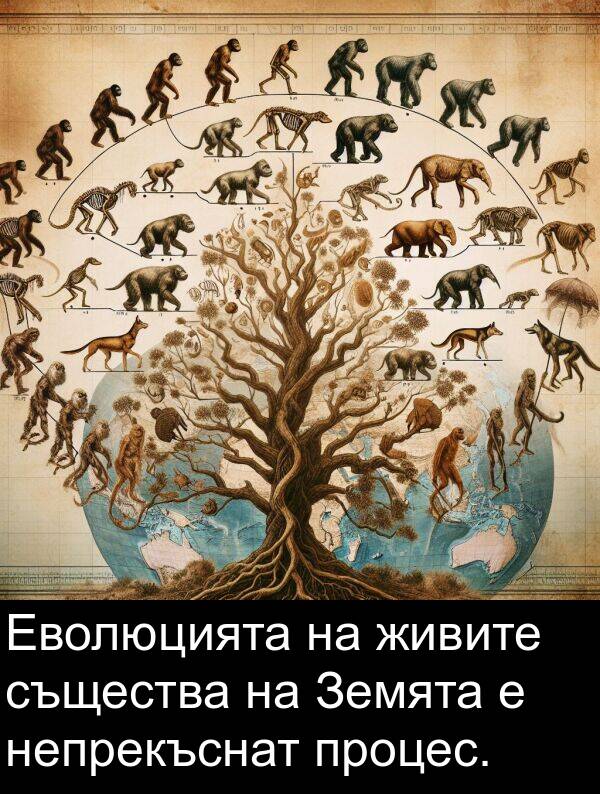 живите: Еволюцията на живите същества на Земята е непрекъснат процес.