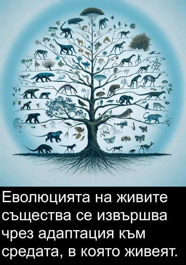 живите: Еволюцията на живите същества се извършва чрез адаптация към средата, в която живеят.