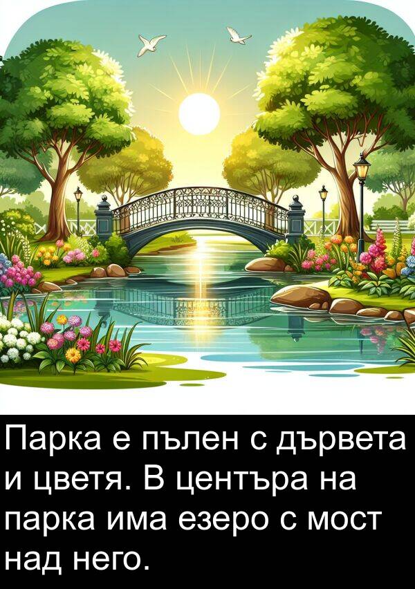 парка: Парка е пълен с дървета и цветя. В центъра на парка има езеро с мост над него.