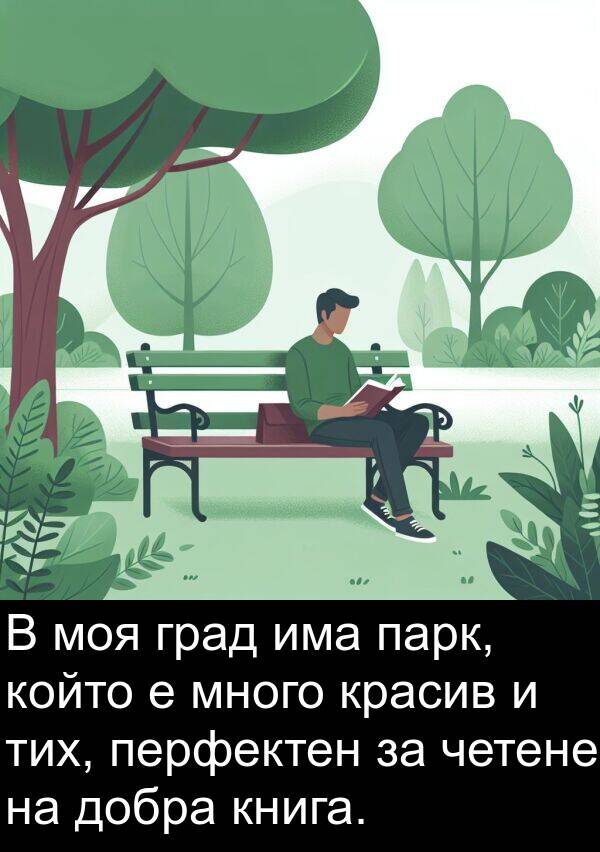 парк: В моя град има парк, който е много красив и тих, перфектен за четене на добра книга.