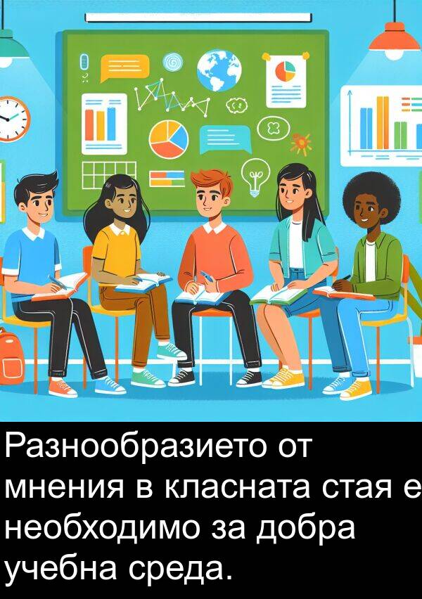 мнения: Разнообразието от мнения в класната стая е необходимо за добра учебна среда.