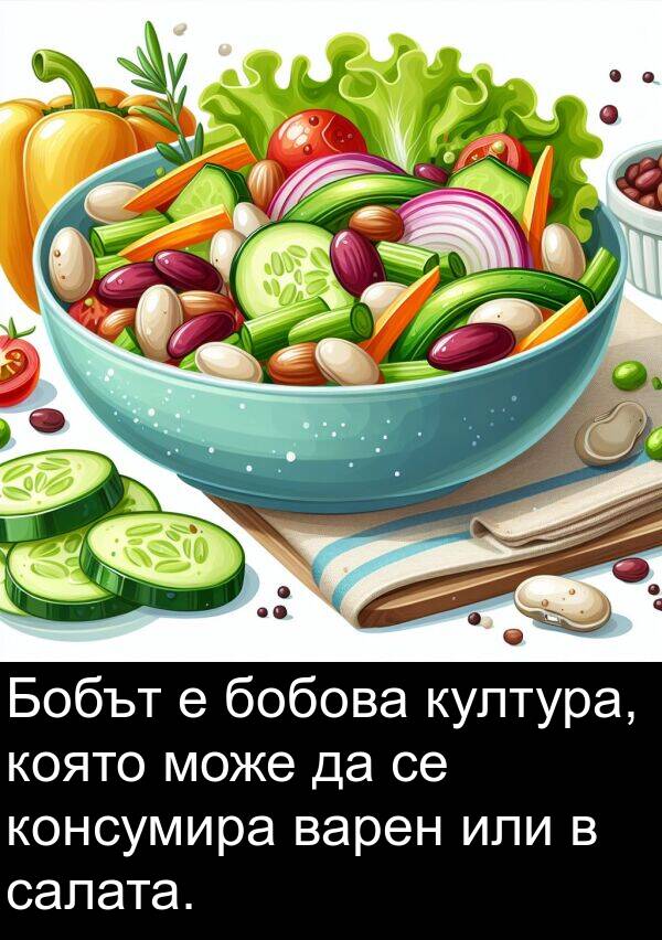 или: Бобът е бобова култура, която може да се консумира варен или в салата.