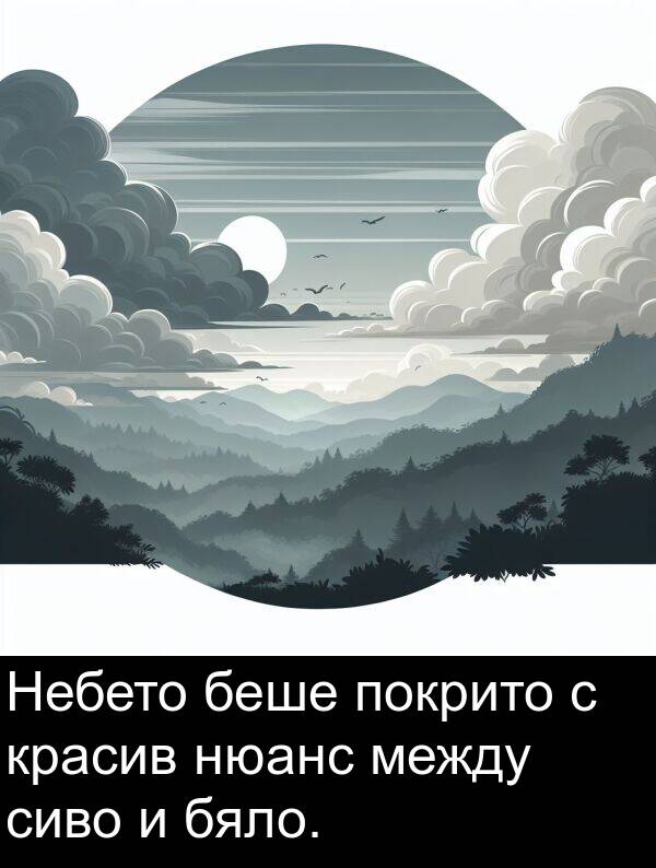 между: Небето беше покрито с красив нюанс между сиво и бяло.