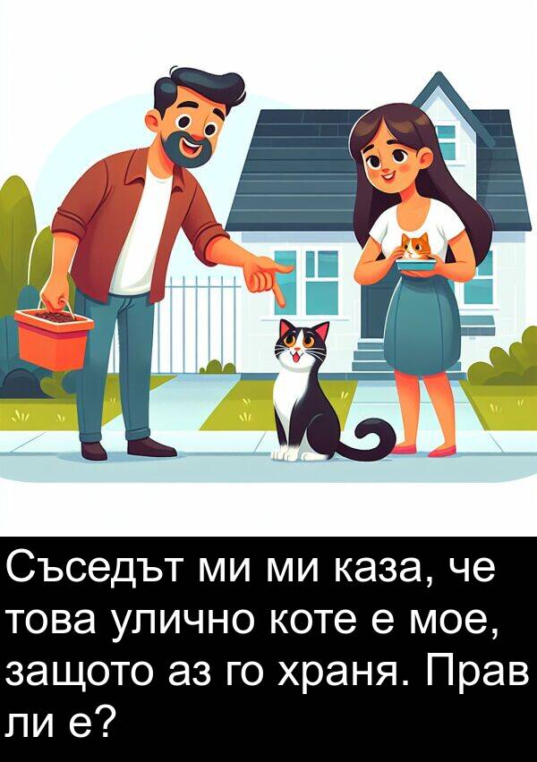 каза: Съседът ми ми каза, че това улично коте е мое, защото аз го храня. Прав ли е?