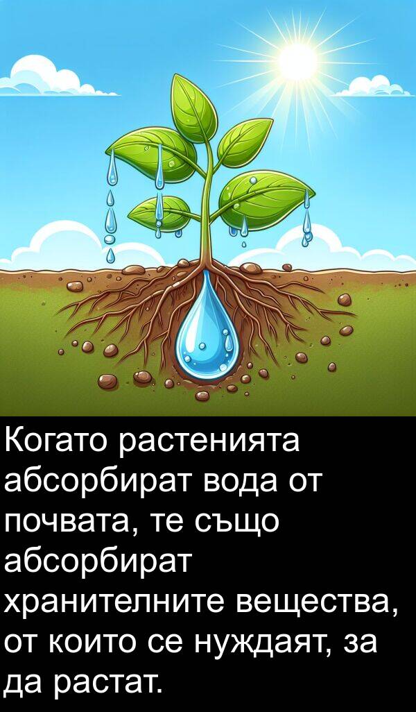 абсорбират: Когато растенията абсорбират вода от почвата, те също абсорбират хранителните вещества, от които се нуждаят, за да растат.