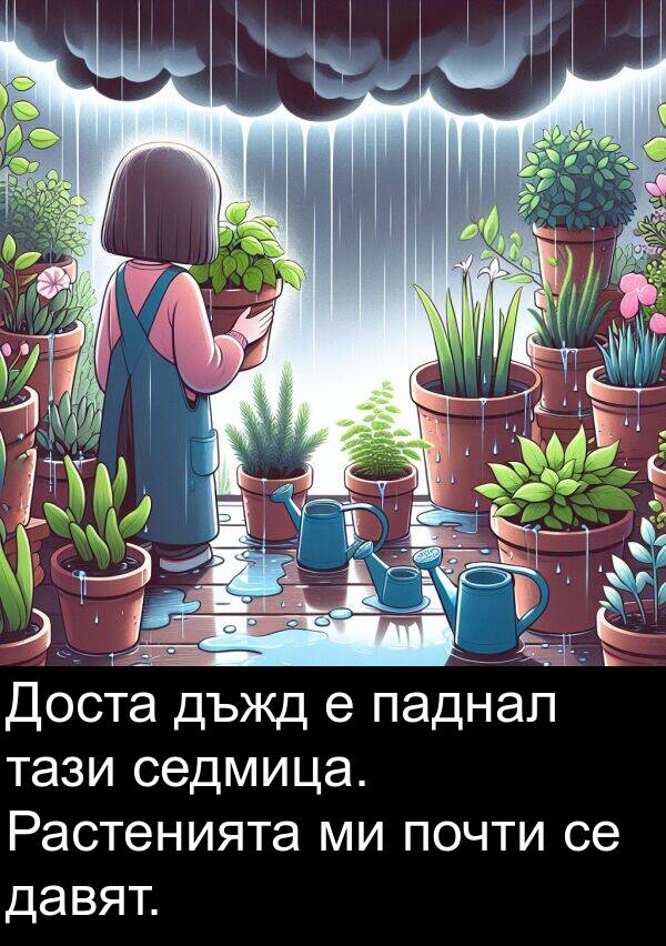 паднал: Доста дъжд е паднал тази седмица. Растенията ми почти се давят.