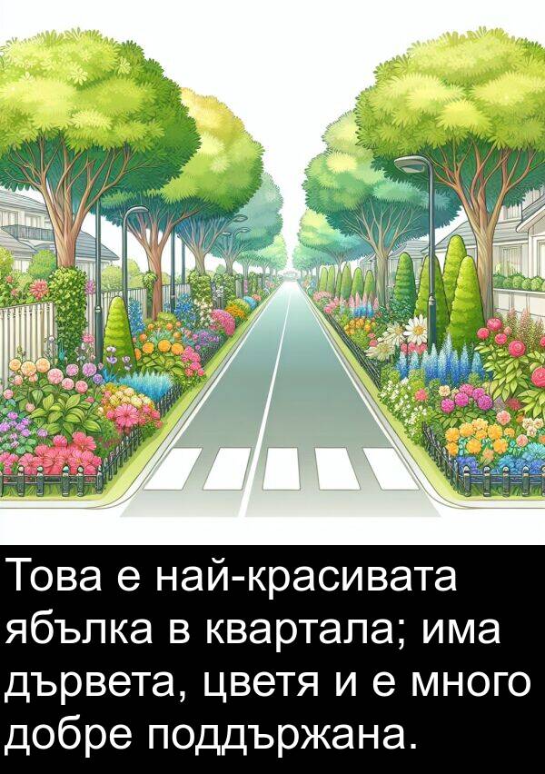 квартала: Това е най-красивата ябълка в квартала; има дървета, цветя и е много добре поддържана.