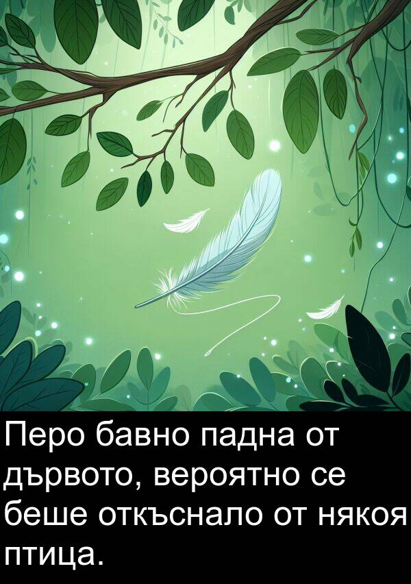 падна: Перо бавно падна от дървото, вероятно се беше откъснало от някоя птица.