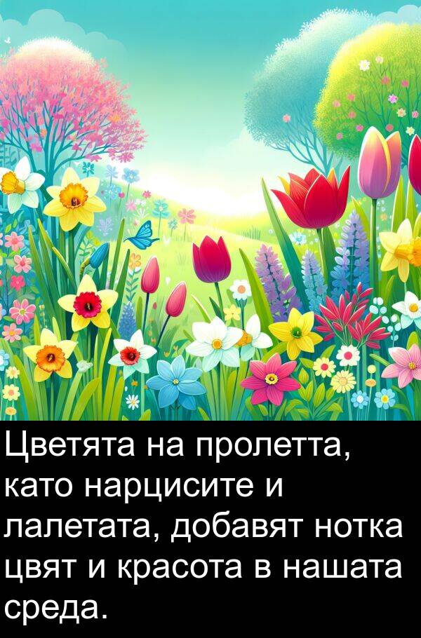 пролетта: Цветята на пролетта, като нарцисите и лалетата, добавят нотка цвят и красота в нашата среда.