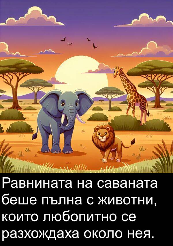 животни: Равнината на саваната беше пълна с животни, които любопитно се разхождаха около нея.