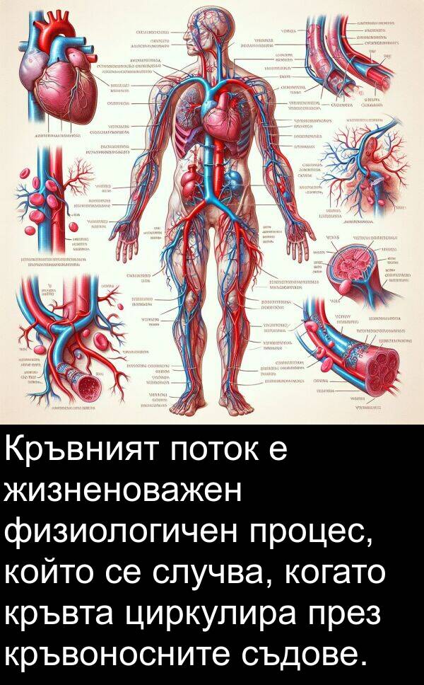 физиологичен: Кръвният поток е жизненоважен физиологичен процес, който се случва, когато кръвта циркулира през кръвоносните съдове.