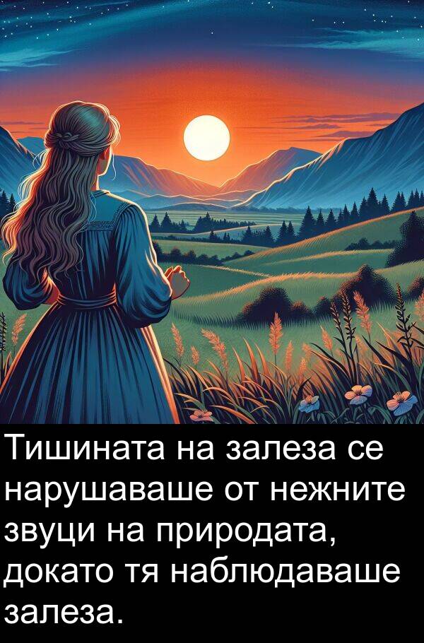 залеза: Тишината на залеза се нарушаваше от нежните звуци на природата, докато тя наблюдаваше залеза.