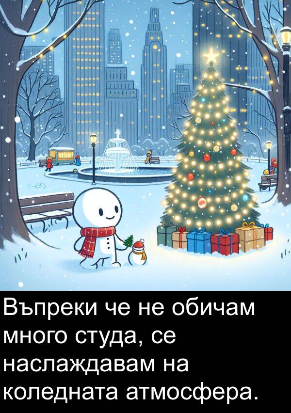 обичам: Въпреки че не обичам много студа, се наслаждавам на коледната атмосфера.