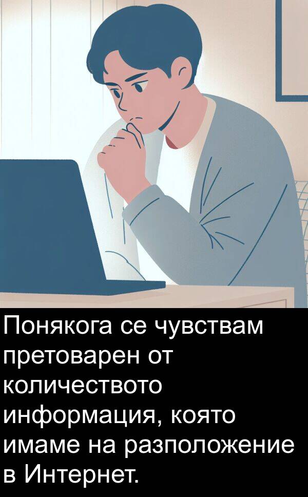 чувствам: Понякога се чувствам претоварен от количеството информация, която имаме на разположение в Интернет.