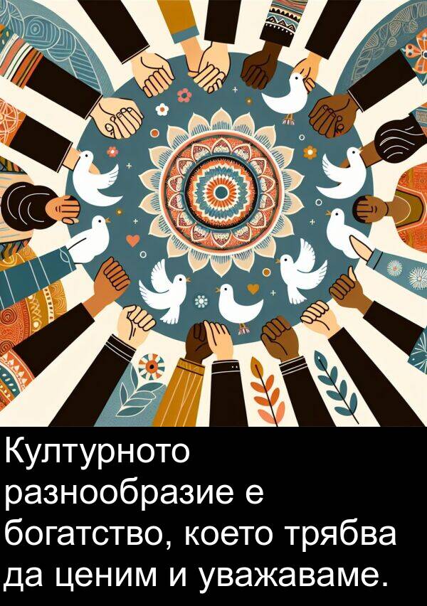 ценим: Културното разнообразие е богатство, което трябва да ценим и уважаваме.