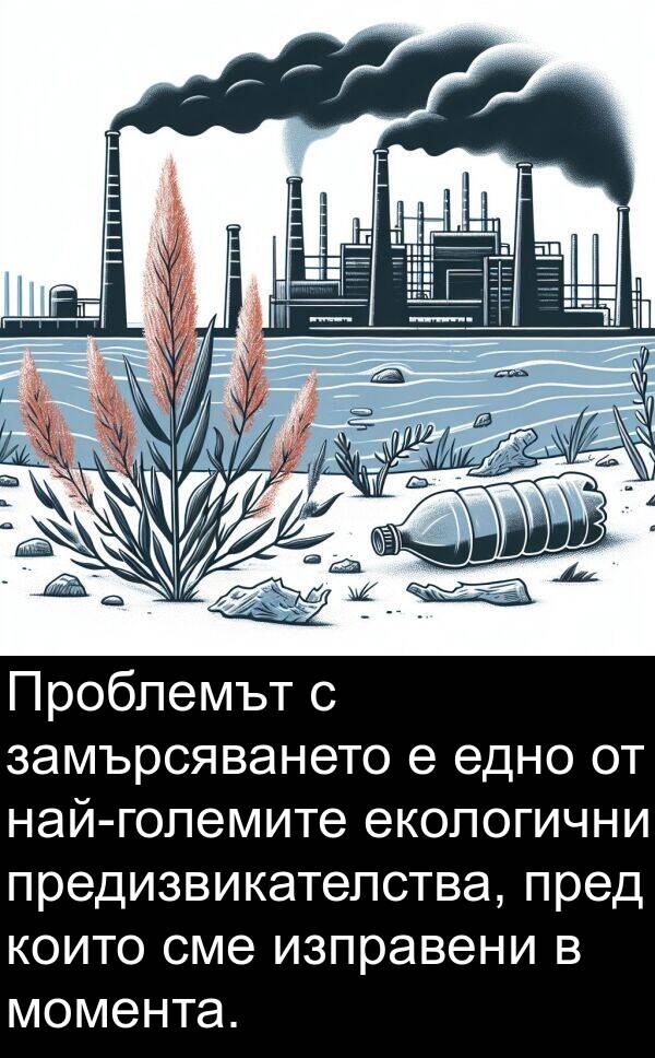 екологични: Проблемът с замърсяването е едно от най-големите екологични предизвикателства, пред които сме изправени в момента.