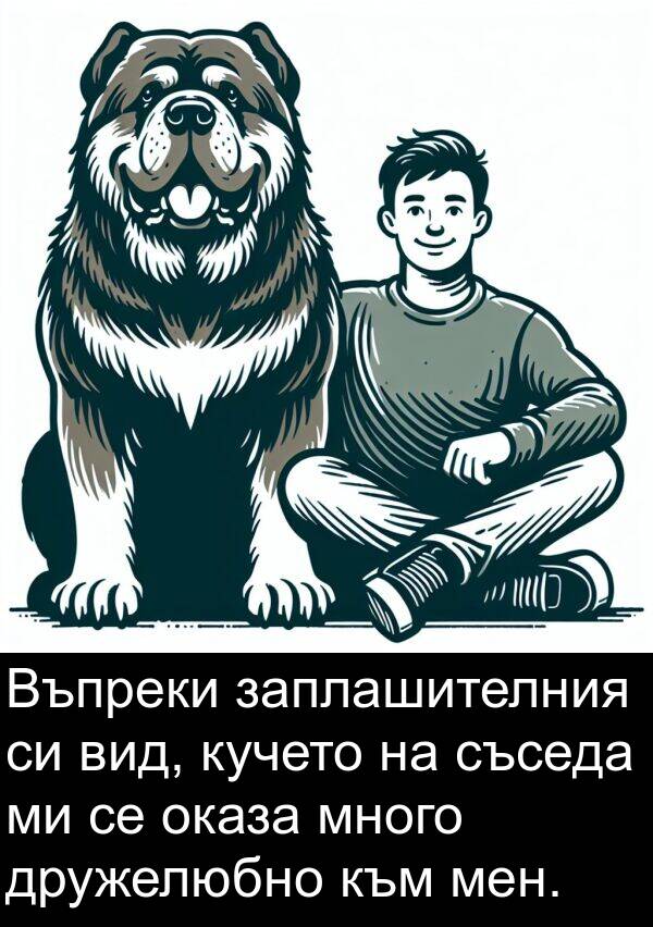 мен: Въпреки заплашителния си вид, кучето на съседа ми се оказа много дружелюбно към мен.