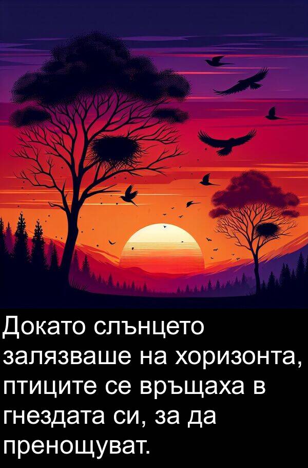 залязваше: Докато слънцето залязваше на хоризонта, птиците се връщаха в гнездата си, за да пренощуват.