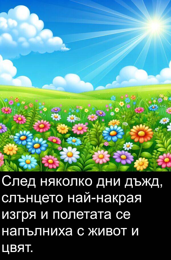 изгря: След няколко дни дъжд, слънцето най-накрая изгря и полетата се напълниха с живот и цвят.