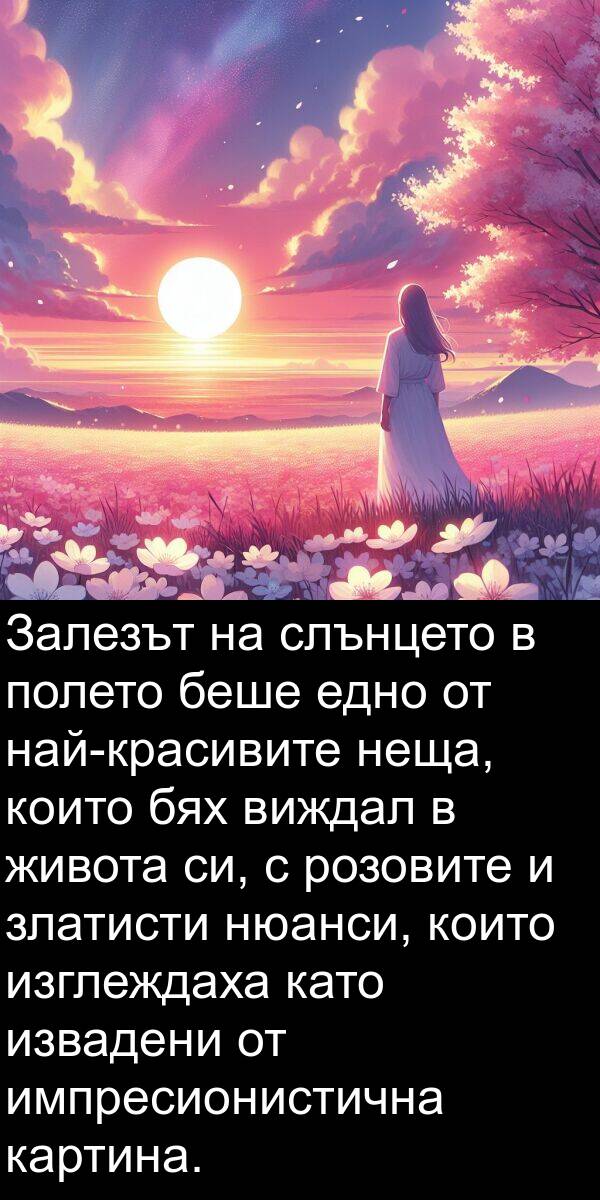 изглеждаха: Залезът на слънцето в полето беше едно от най-красивите неща, които бях виждал в живота си, с розовите и златисти нюанси, които изглеждаха като извадени от импресионистична картина.