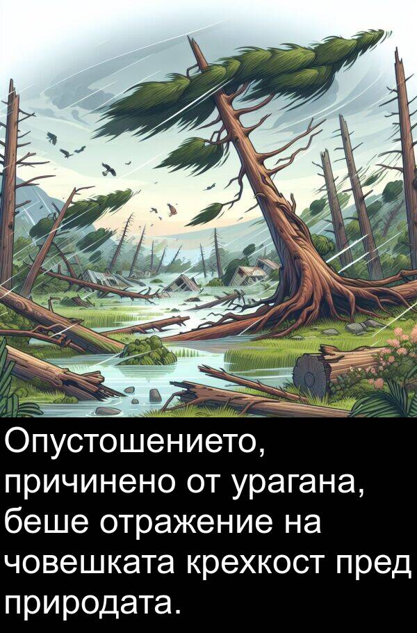 пред: Опустошението, причинено от урагана, беше отражение на човешката крехкост пред природата.