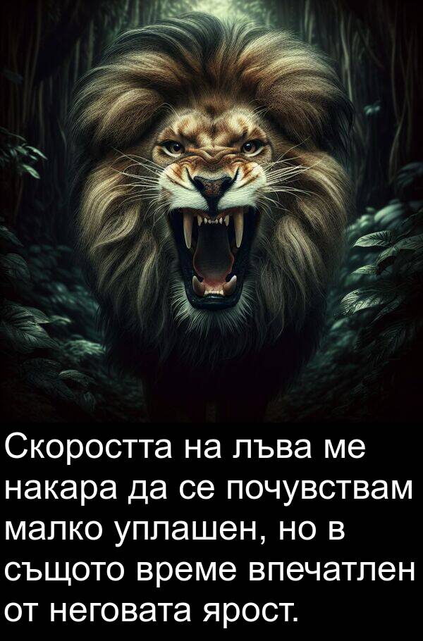 малко: Скоростта на лъва ме накара да се почувствам малко уплашен, но в същото време впечатлен от неговата ярост.