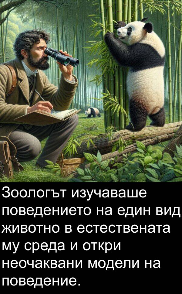 животно: Зоологът изучаваше поведението на един вид животно в естествената му среда и откри неочаквани модели на поведение.