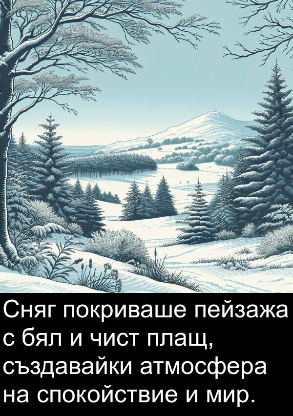 пейзажа: Сняг покриваше пейзажа с бял и чист плащ, създавайки атмосфера на спокойствие и мир.