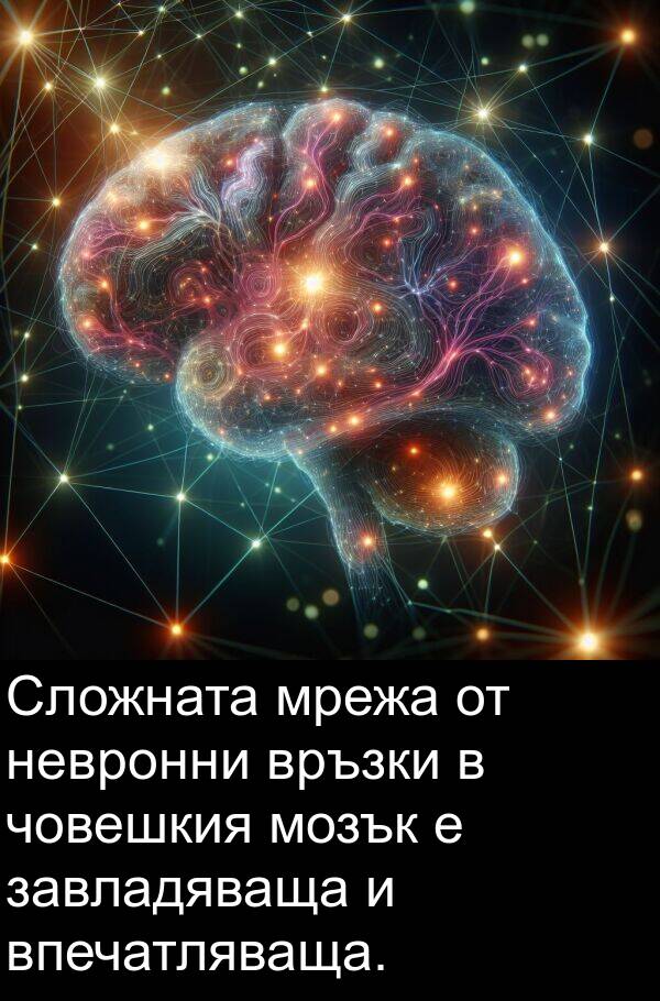 завладяваща: Сложната мрежа от невронни връзки в човешкия мозък е завладяваща и впечатляваща.
