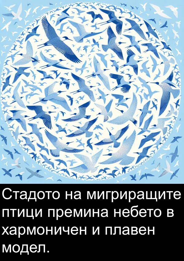 премина: Стадото на мигриращите птици премина небето в хармоничен и плавен модел.