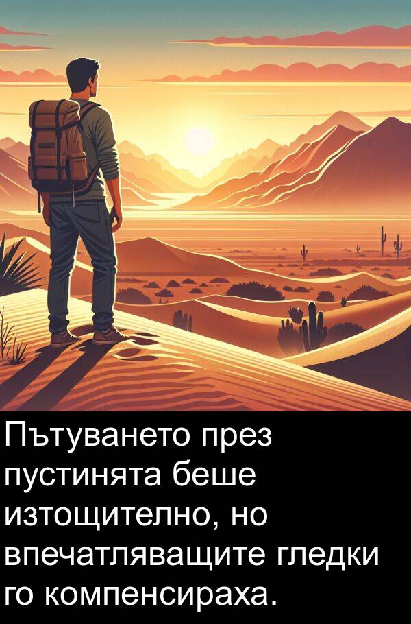 пустинята: Пътуването през пустинята беше изтощително, но впечатляващите гледки го компенсираха.