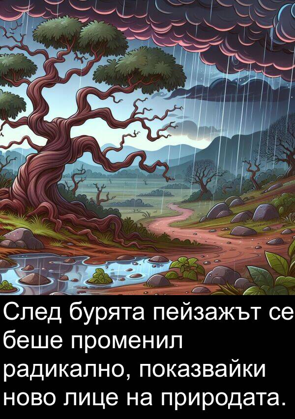 пейзажът: След бурята пейзажът се беше променил радикално, показвайки ново лице на природата.