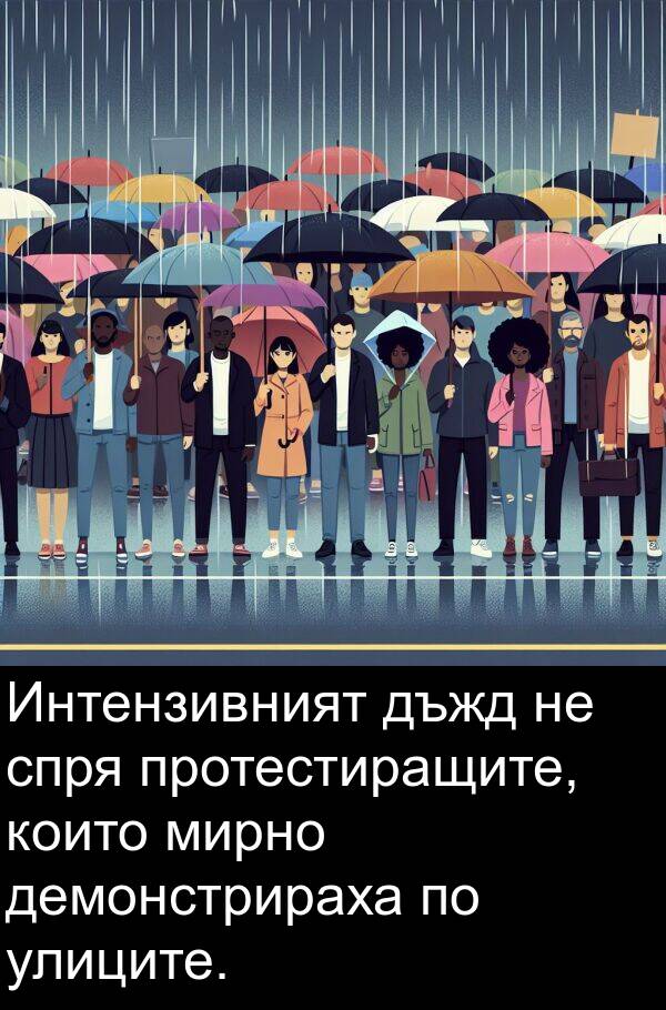 демонстрираха: Интензивният дъжд не спря протестиращите, които мирно демонстрираха по улиците.