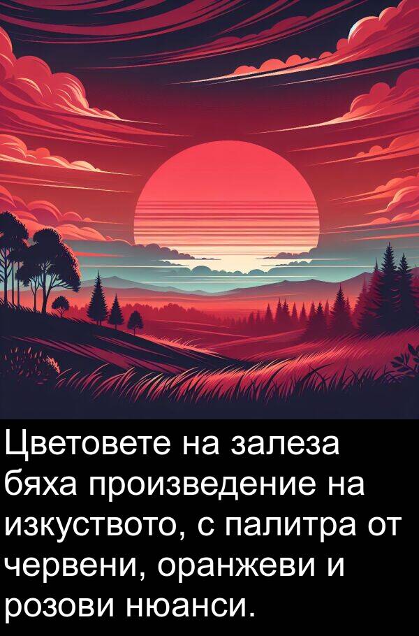 залеза: Цветовете на залеза бяха произведение на изкуството, с палитра от червени, оранжеви и розови нюанси.