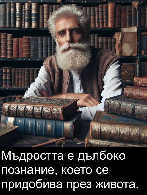 живота: Мъдростта е дълбоко познание, което се придобива през живота.